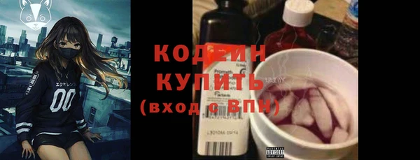 шишки Галич