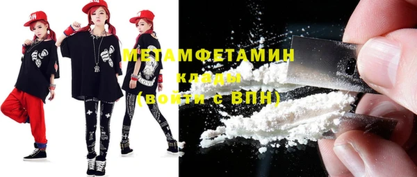 шишки Галич