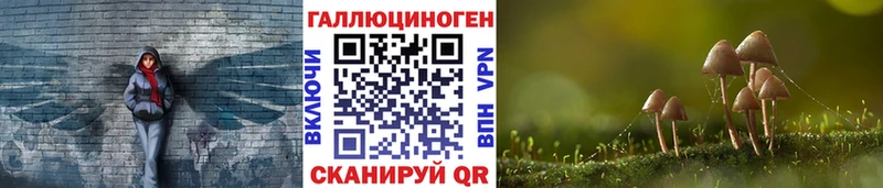 Галлюциногенные грибы Magic Shrooms  МЕГА как войти  Новосибирск 