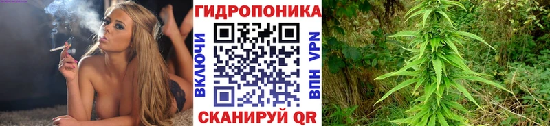 блэк спрут tor  закладка  Новосибирск  МАРИХУАНА план 